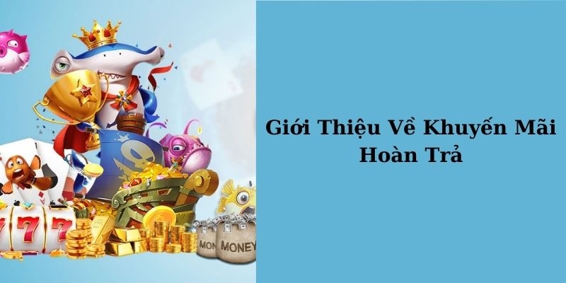 Khuyến mãi hoàn trả tại bet88 là một điểm sáng thu hút nhiều người chơi